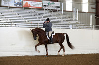 AHANC19_ThursPM_0602