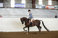 AHANC19_ThursPM_0604