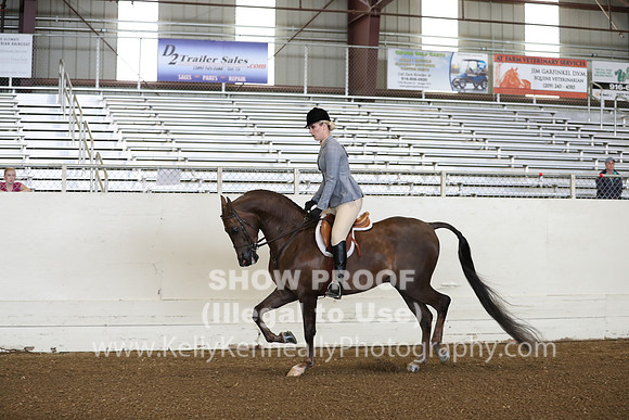 AHANC19_ThursPM_0604