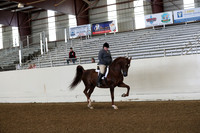 AHANC19_ThursPM_0608