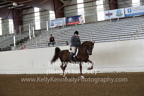 AHANC19_ThursPM_0608