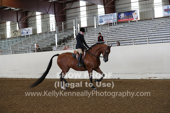 AHANC19_ThursPM_0606