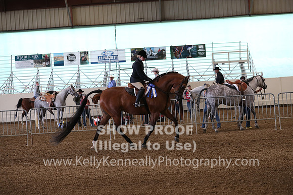 AHANC19_ThursPM_0611