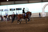 AHANC19_ThursPM_0612