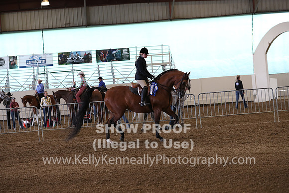 AHANC19_ThursPM_0612