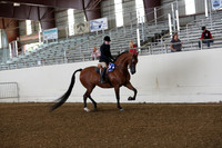AHANC19_ThursPM_0615