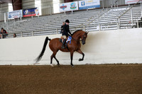 AHANC19_ThursPM_0617
