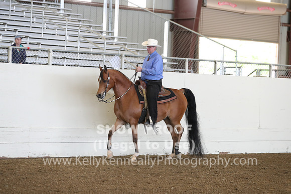 AHANC19_ThursPM_0624