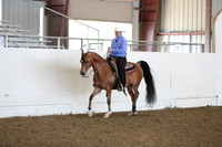 Class 23 Arabian Western Pleasure Geldings