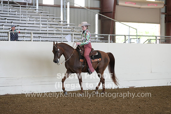 AHANC19_ThursPM_0628