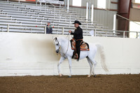 AHANC19_ThursPM_0629