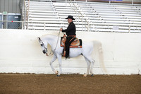 AHANC19_ThursPM_0631