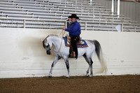AHANC19_ThursPM_0635