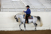 AHANC19_ThursPM_0636