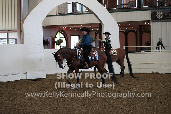AHANC19_ThursPM_0637