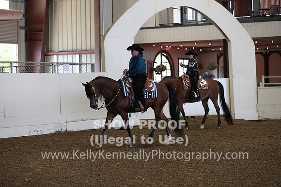 AHANC19_ThursPM_0638