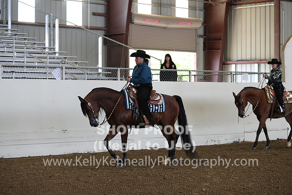 AHANC19_ThursPM_0639