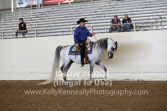 AHANC19_ThursPM_0644