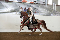 Class 24 HA/AA Mounted Native Costume Open