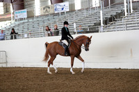 AHANC19_ThursPM_0659