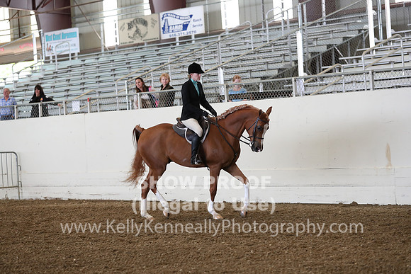 AHANC19_ThursPM_0659
