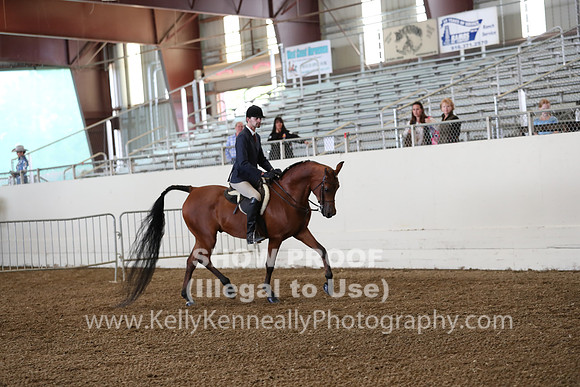 AHANC19_ThursPM_0660