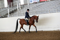 AHANC19_ThursPM_0662