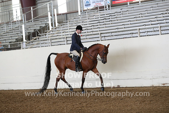 AHANC19_ThursPM_0662