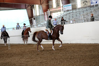 AHANC19_ThursPM_0667