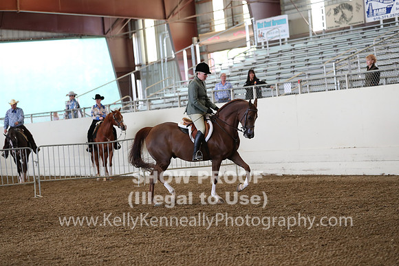 AHANC19_ThursPM_0667