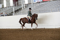 AHANC19_ThursPM_0669