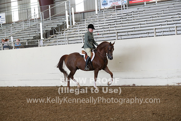 AHANC19_ThursPM_0669