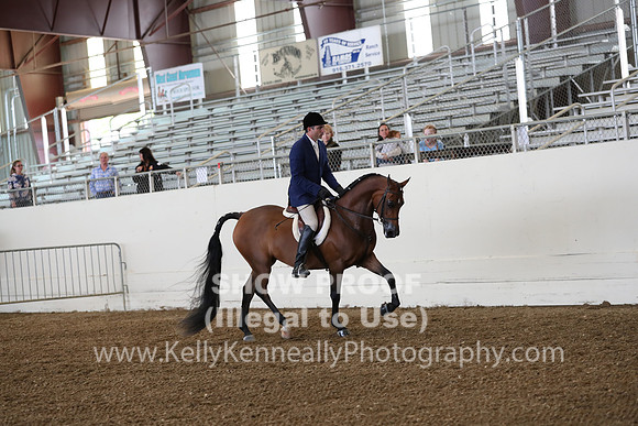 AHANC19_ThursPM_0671