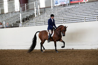 AHANC19_ThursPM_0673