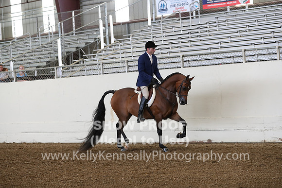 AHANC19_ThursPM_0673