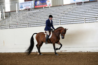 AHANC19_ThursPM_0674