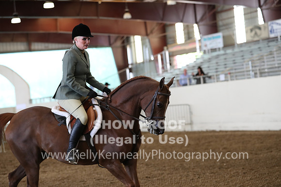 AHANC19_ThursPM_0677