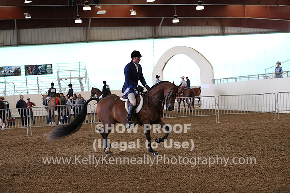 AHANC19_ThursPM_0679