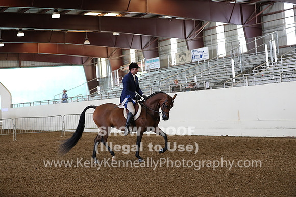 AHANC19_ThursPM_0681