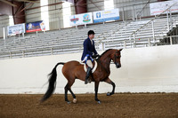 AHANC19_ThursPM_0684
