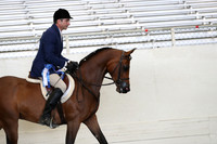 AHANC19_ThursPM_0687
