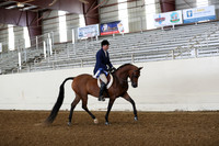 AHANC19_ThursPM_0683