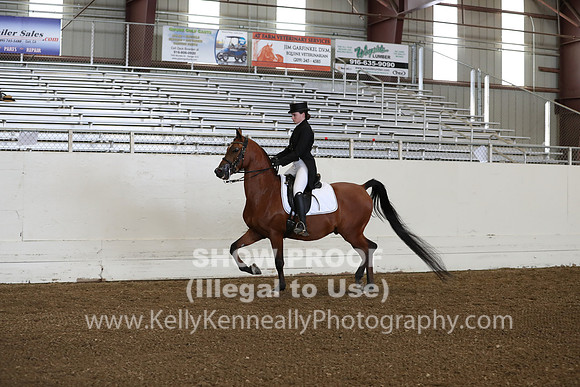 AHANC19_ThursPM_0699