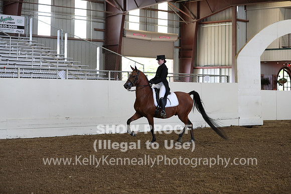 AHANC19_ThursPM_0698