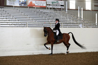 AHANC19_ThursPM_0701