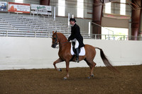 Class 26 Arabian English Show Hack Open
