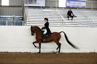 AHANC19_ThursPM_0703
