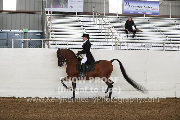 AHANC19_ThursPM_0703