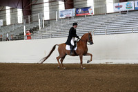 AHANC19_ThursPM_0704