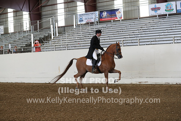 AHANC19_ThursPM_0704